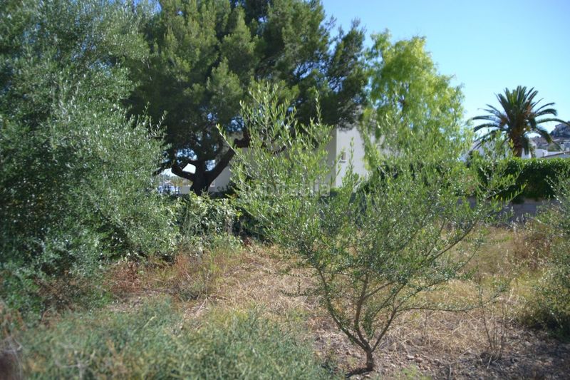 Foto 94cd5457-907b-45ea-a379-0c36a0b6e048. Terreny residencial a port d´Andratx Andratx