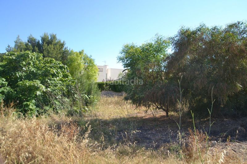Foto a788be29-ef92-4730-b69a-ea443cfb2ba8. Terreny residencial a port d´Andratx Andratx