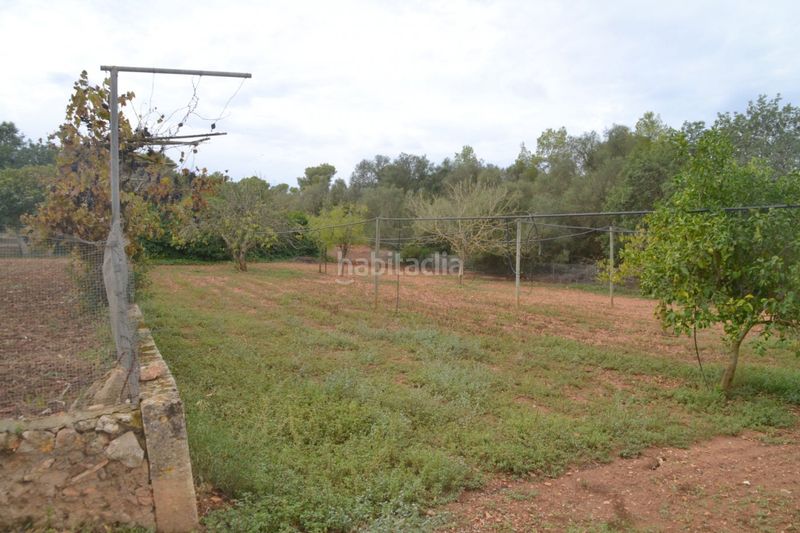 Foto 9b944f52-af40-409f-9c04-f51a0abc6fe1. Masia amb calefacció piscina a Son Gual Palma de Mallorca