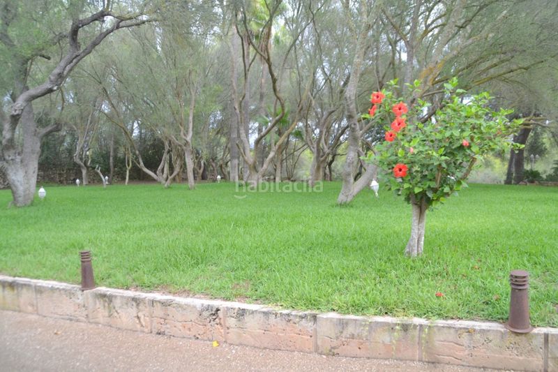 Foto ce0012c9-015c-4c12-8ffa-691125d388ee. Masia amb calefacció piscina a Son Gual Palma de Mallorca
