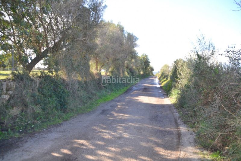 Foto ba045112-5589-4261-9b74-08e1f793e78b. Masia a Manacor centre Manacor