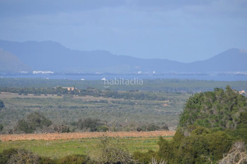 Foto ce2e28e8-2c01-42c2-9e6f-38b3d0d3addf. Masia a Manacor centre Manacor