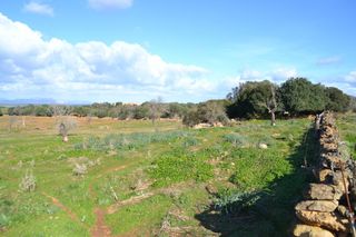 Masia a Manacor Centre