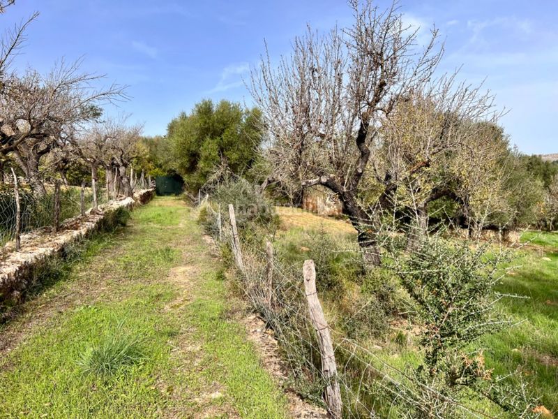 Foto 2d572e5a-39aa-4528-8d44-6a45121776e3. Masia a Campanet