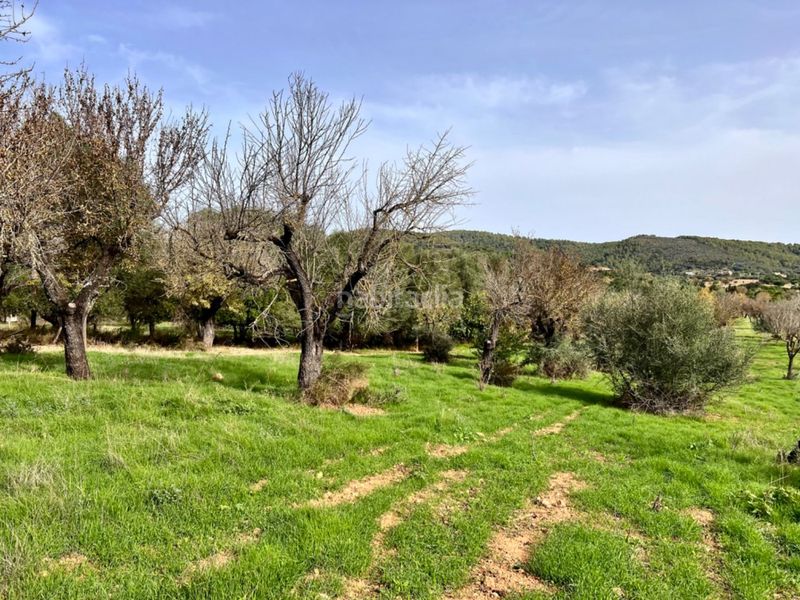Foto a1a6edfe-e46b-4a35-8b54-af8524f78fe9. Masia a Campanet