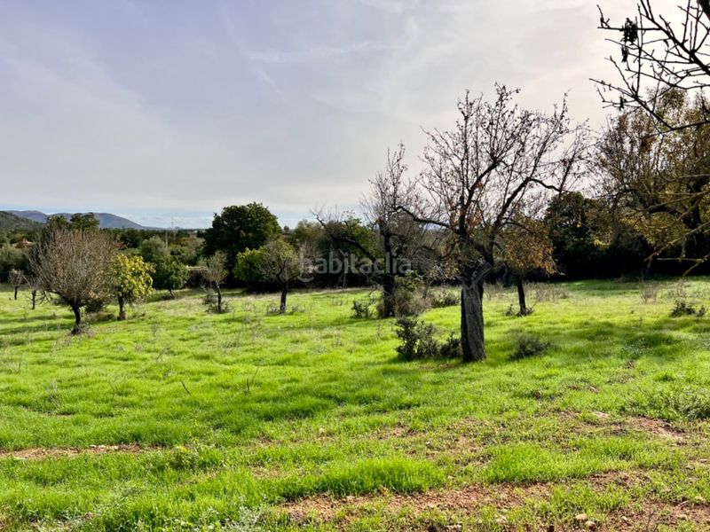 Foto bce67a96-8c52-4575-9493-5cc1cde8ff29. Masia a Campanet