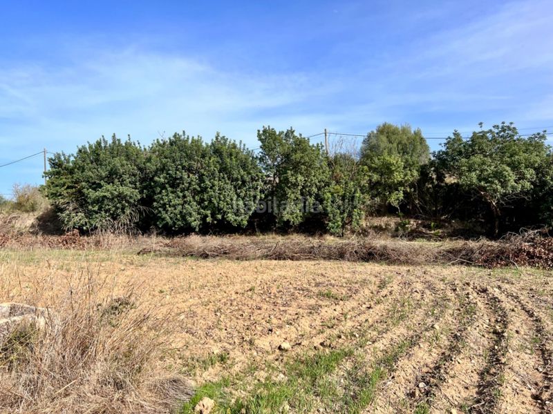 Foto 4e2edf64-8b51-4580-9456-6a6638223b2f. Masia a ciutat d´Alcúdia Alcúdia