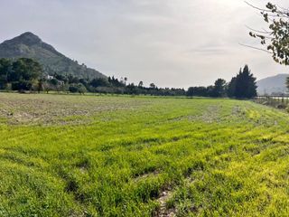 Masia a Ciutat d´Alcúdia