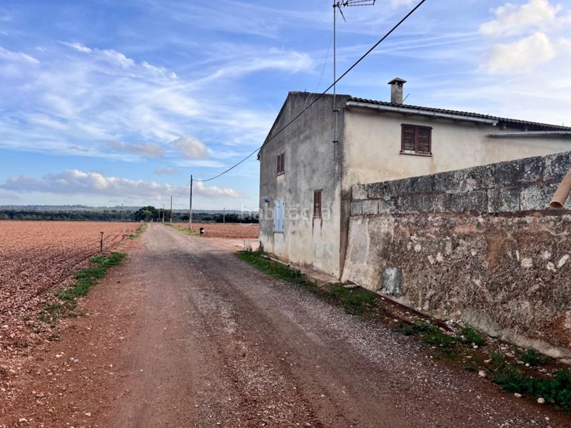 Foto 44a0ade6-ba5a-46b9-8734-7cc4624e1686. Masia a Llubí