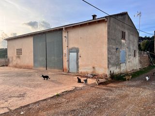Mas à Llubí. Finca en llubi