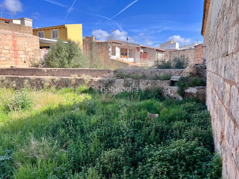 Foto 49006858-a265-4289-a81f-dab82cc0cb67. Terreny residencial a Sa Pobla