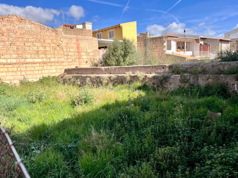 Foto 638329f5-3e99-498e-8b7b-b53ff924ef97. Terreny residencial a Sa Pobla