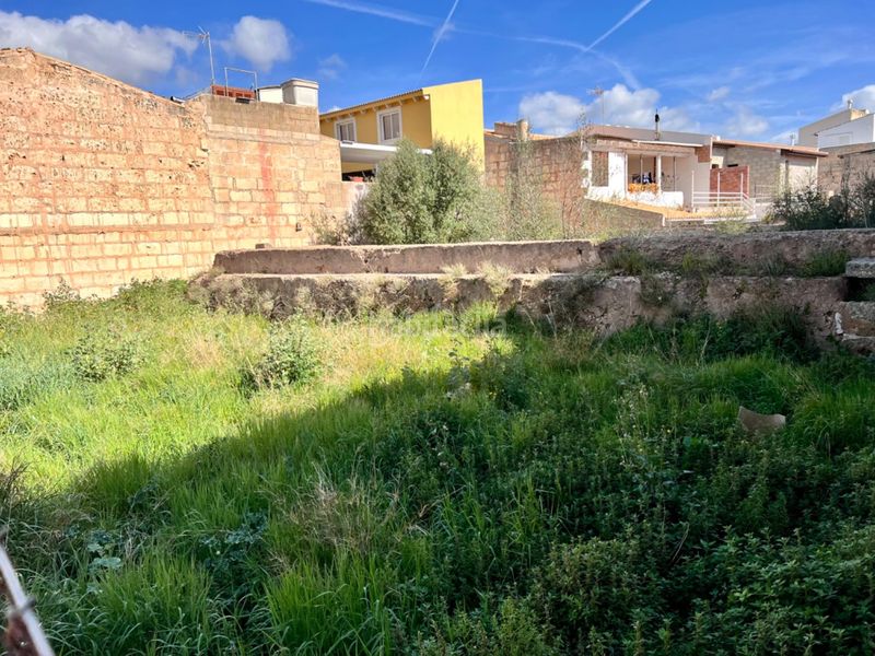 Foto df55b279-4938-4f38-9272-faf9f9c8fc0d. Terreny residencial a Sa Pobla