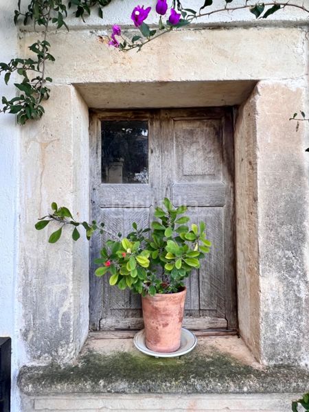 Foto 55c8ce68-c6eb-44ce-9bc0-bb7be822780d. Casa amb aparcament piscina a Campanet