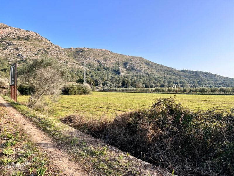 Foto 0c990c7c-8473-4740-b1a7-c3f17c431f95. Masia a ciutat d´Alcúdia Alcúdia