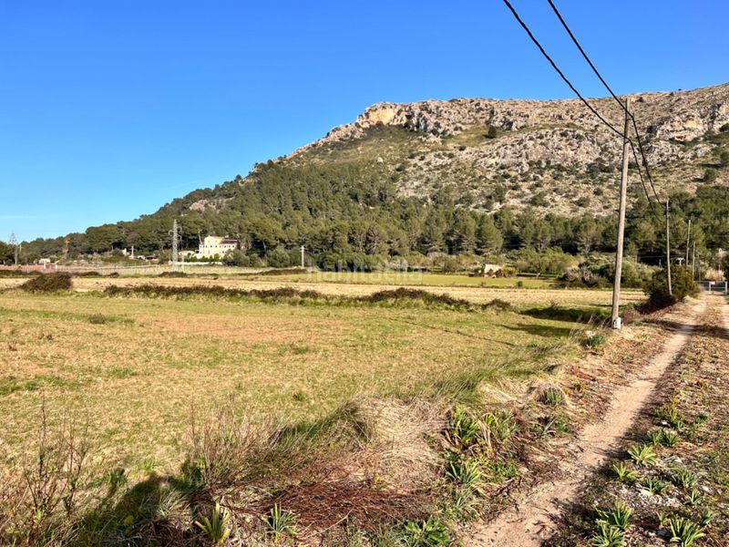 Foto 404b5985-4ef4-429a-874b-f82c387a661d. Masia a ciutat d´Alcúdia Alcúdia