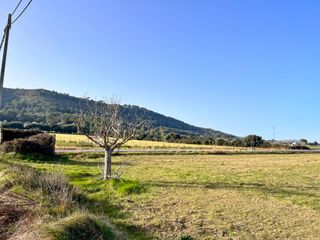 Masia a Ciutat d´Alcúdia. Finca rústica en alcudia