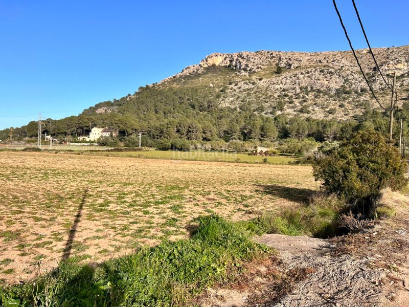 Foto a9997f15-1c16-4120-82c9-f01dad4975fb. Masia a ciutat d´Alcúdia Alcúdia