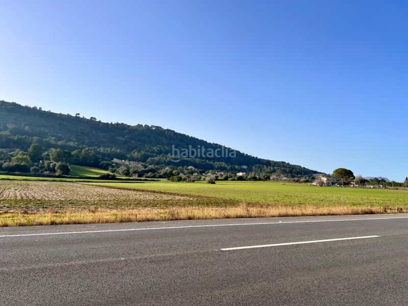 Foto f9066fd0-f4a3-4a61-8b01-42b537ccc35b. Masia a ciutat d´Alcúdia Alcúdia