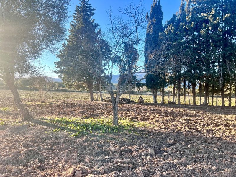 Foto 29d0cd97-28b7-4929-8dc1-c99b0ce103eb. Masia a Campanet