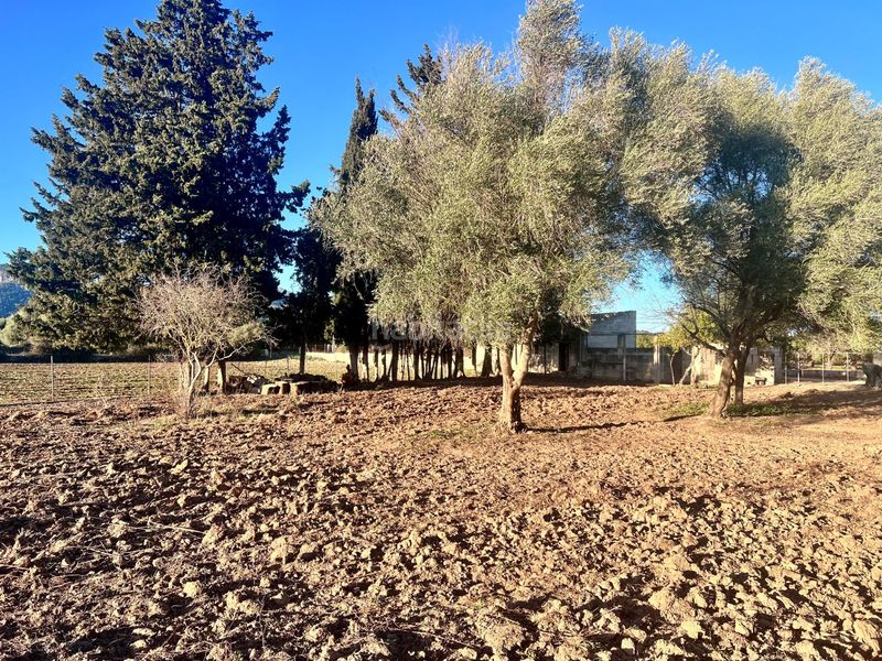 Foto cf41e7b1-7440-45cc-a19a-56b14d7dec15. Masia a Campanet