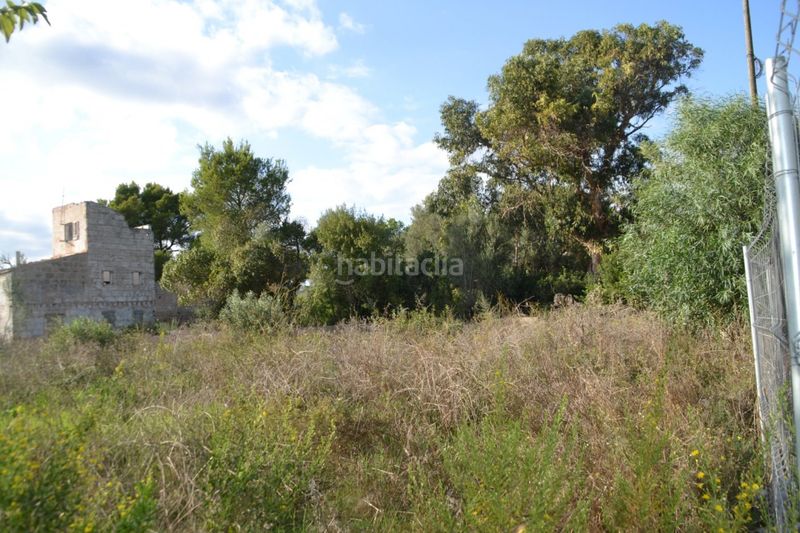 Foto 09a39387-6624-415b-a06f-890881d0bb36. Terreny residencial a Muro