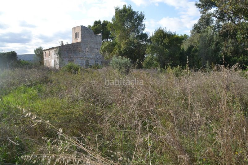 Foto 57f36f07-9ea0-4440-8999-a4416f859651. Terreny residencial a Muro