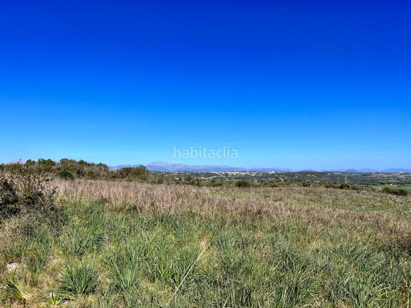 Foto 0be77f2f-2ded-4d15-a742-5d2991dfe5c1. Masía gran finca en Petra