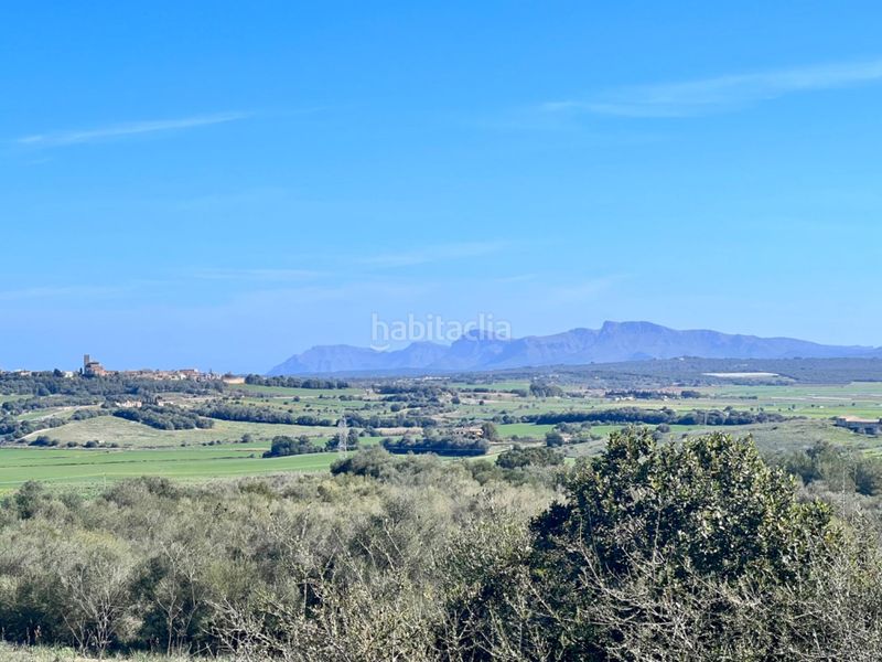 Foto 0c2e96cf-eca8-4d35-af2e-df3608935f10. Masía gran finca en Petra