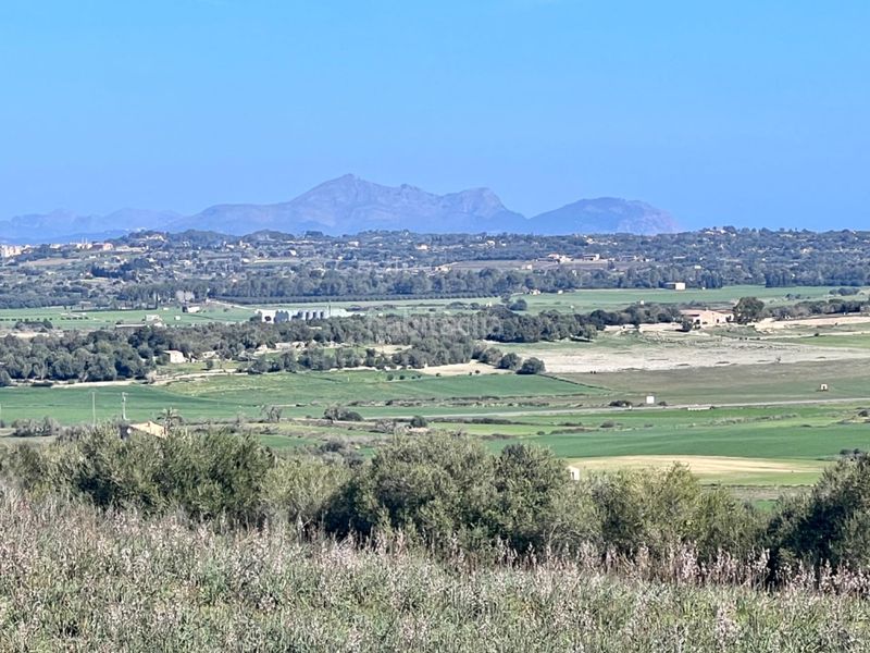 Foto 3a0cbce2-cf6a-4aa5-9076-4b902b4b3e77. Masía gran finca en Petra