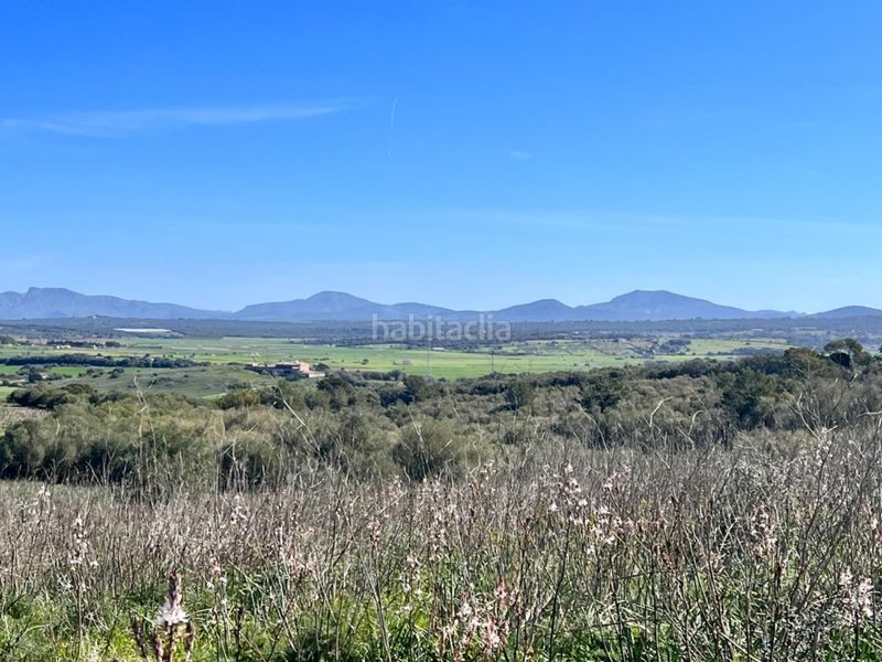 Foto 47a481d9-82a8-4235-8ffc-f964b3613002. Masía gran finca en Petra