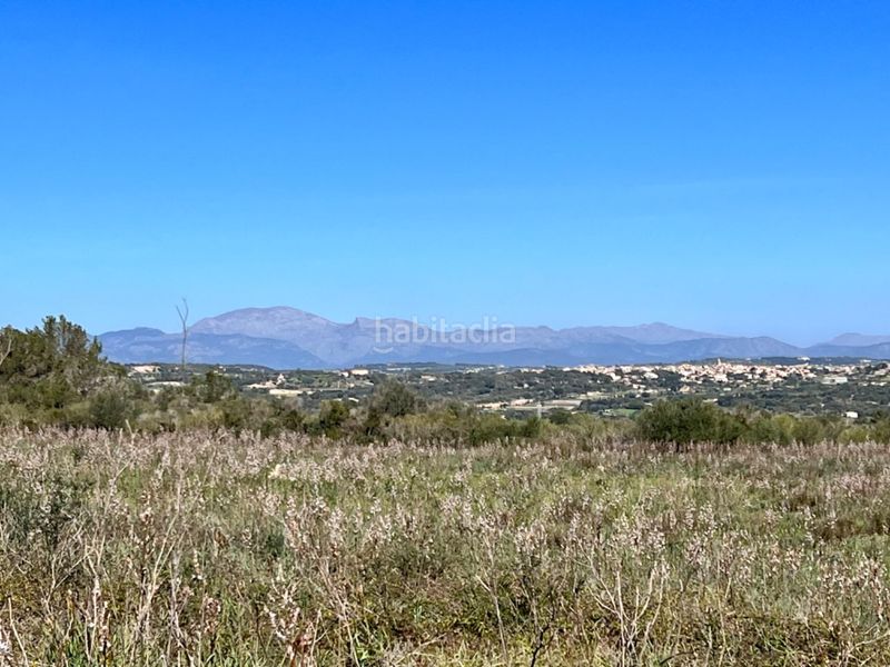 Foto 86fc9b0b-201f-43f0-a640-4d4e900f4466. Masía gran finca en Petra