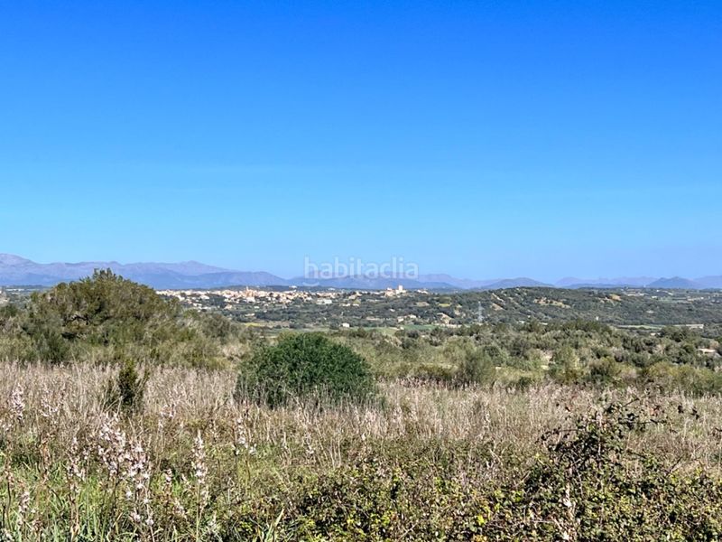 Foto b72d9ae7-6e02-4ff3-b7cb-4c01c266bbd2. Masía gran finca en Petra