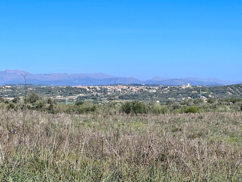 Foto f762c3fc-419b-4d0c-b695-a500e3adb7e9. Masía gran finca en Petra