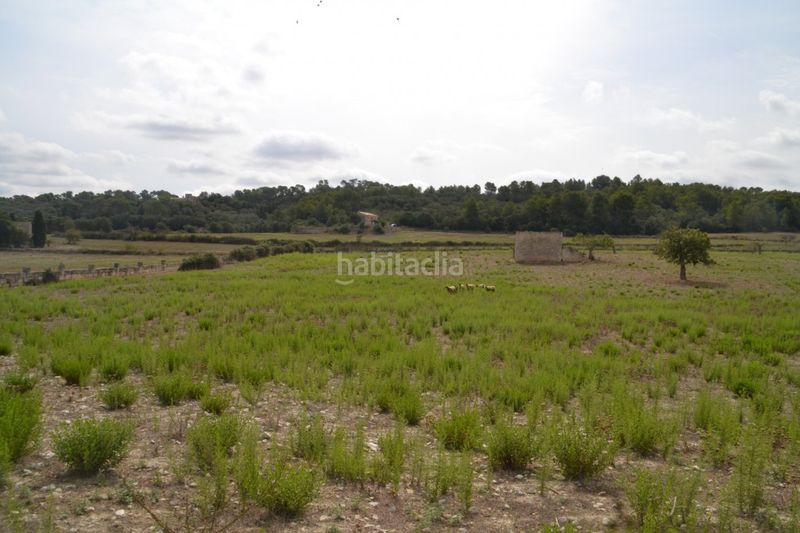 Foto 2f6af0ad-3f98-4071-bbbc-047ed409bce2. Masia a Sineu