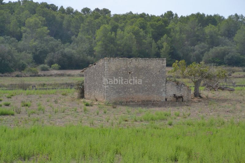 Foto 6ca066fd-044e-435d-ab3f-687af831814a. Masia a Sineu