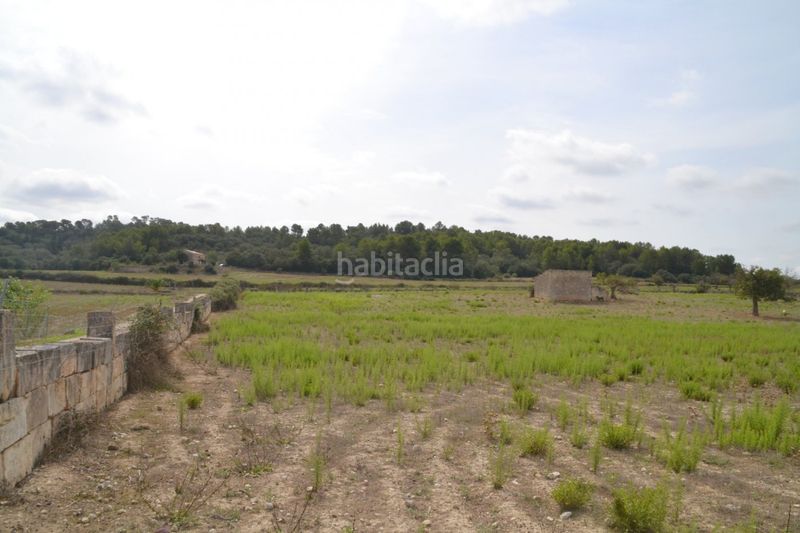 Foto 6dfcbce7-0ab3-4b98-aae3-ed72e59003ac. Masia a Sineu