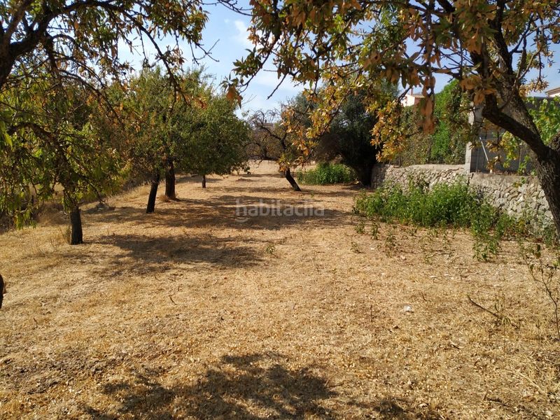 Foto dcb151fa-fde8-4186-9514-0f5dc0660d28. Terreny residencial a Selva