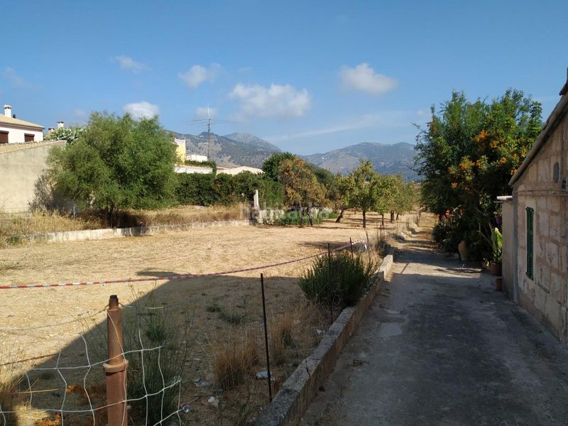 Foto e4489a68-b336-4b34-a3a0-12873cca77fe. Terreny residencial a Selva