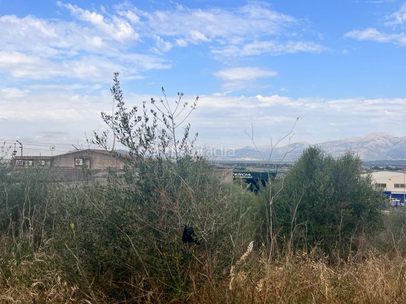 Foto 8775ae77-17a9-4166-b23e-eb5e099acd73. Terreny residencial a Muro