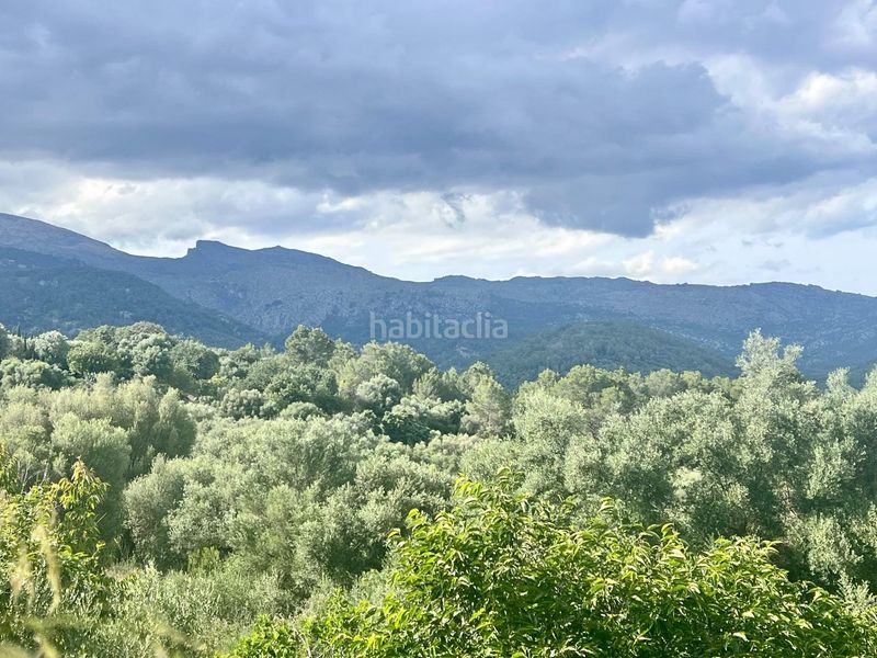 Foto b3c5d2ec-e40b-4bd8-8ced-d2b5c079f223. Terreny residencial a Campanet