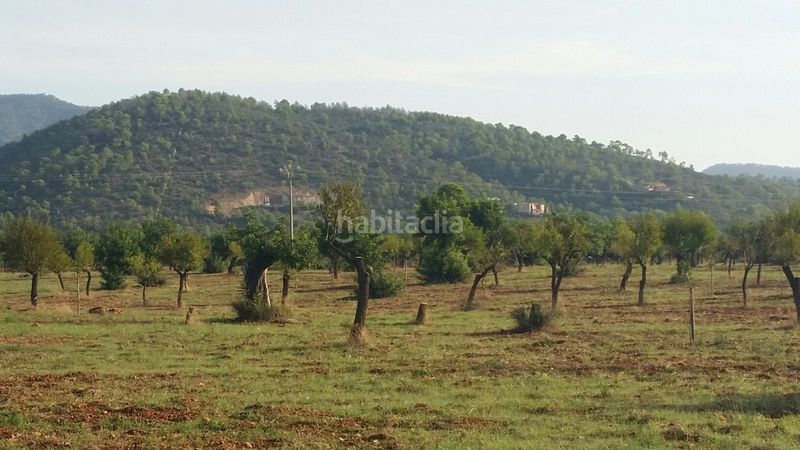 Foto 0e758aca-b610-4530-8a5d-b29a673187f0. Masia a Campanet