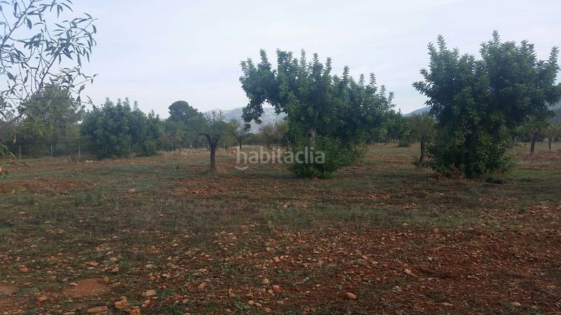 Foto 593c8fc3-d4c9-4046-97c6-e5a38c43f6dc. Masia a Campanet