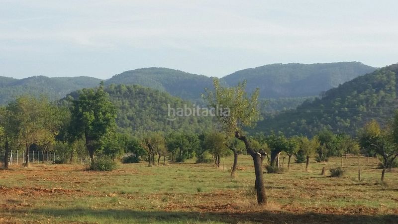 Foto 83be1570-5f8b-45ea-8c57-8d3c158639ea. Masia a Campanet
