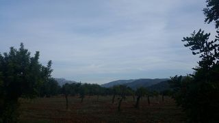 Country house in Campanet. Finca con licencia