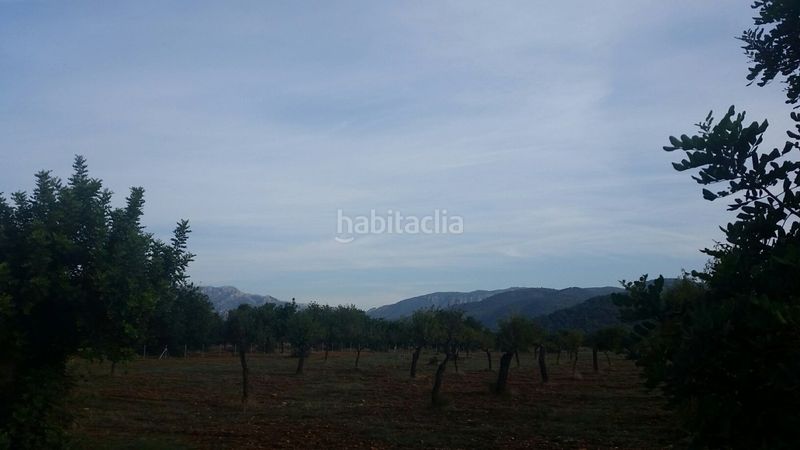 Foto 8ace179b-6c7e-42ea-9110-4a6871fc7fd1. Masia a Campanet