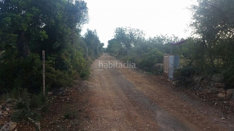 Foto 96a20715-ae1b-4dca-a63c-7f7fd55678b4. Masia a Campanet
