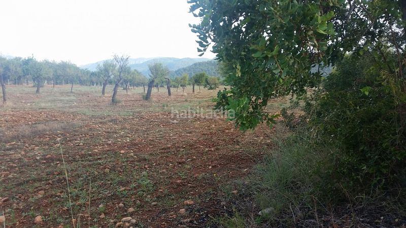 Foto bad02674-0901-4e60-a071-acdf58e6d7bd. Masia a Campanet