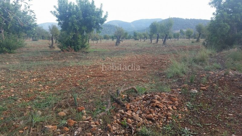 Foto c22e1eb3-1f47-4d43-93f6-0326f95961bf. Masia a Campanet