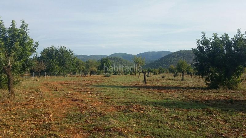 Foto dc861f87-9a1c-4ee1-90da-9f8f0f50af18. Masia a Campanet